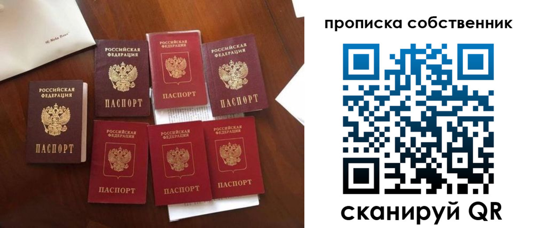 прописка для школы в Рязанской области